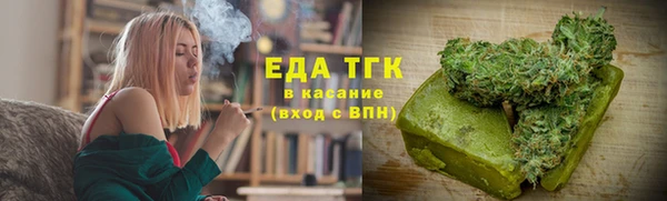 дмт Богородицк