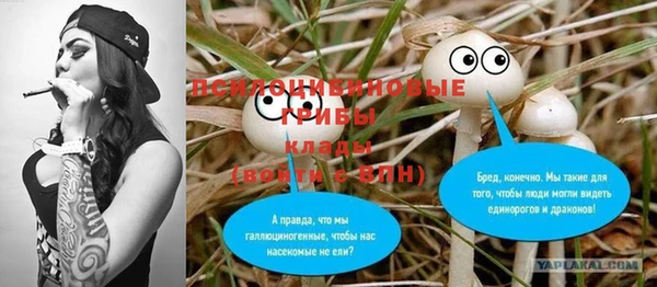 амфетамин Богданович