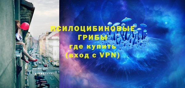 дмт Богородицк