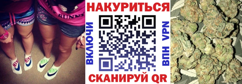Конопля сатива  Белокуриха 